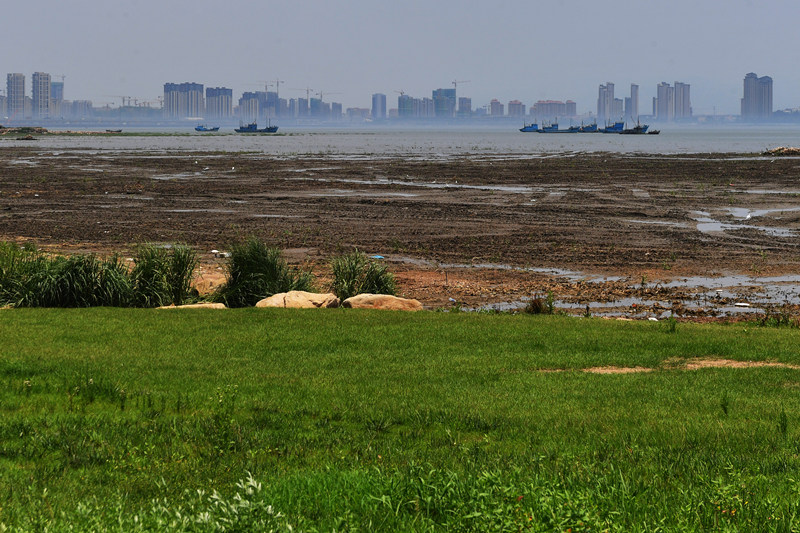 在山東省青島市膠州灣國家級海洋公園紅島段，治理后的灘涂濕地景美如畫。 王海濱攝