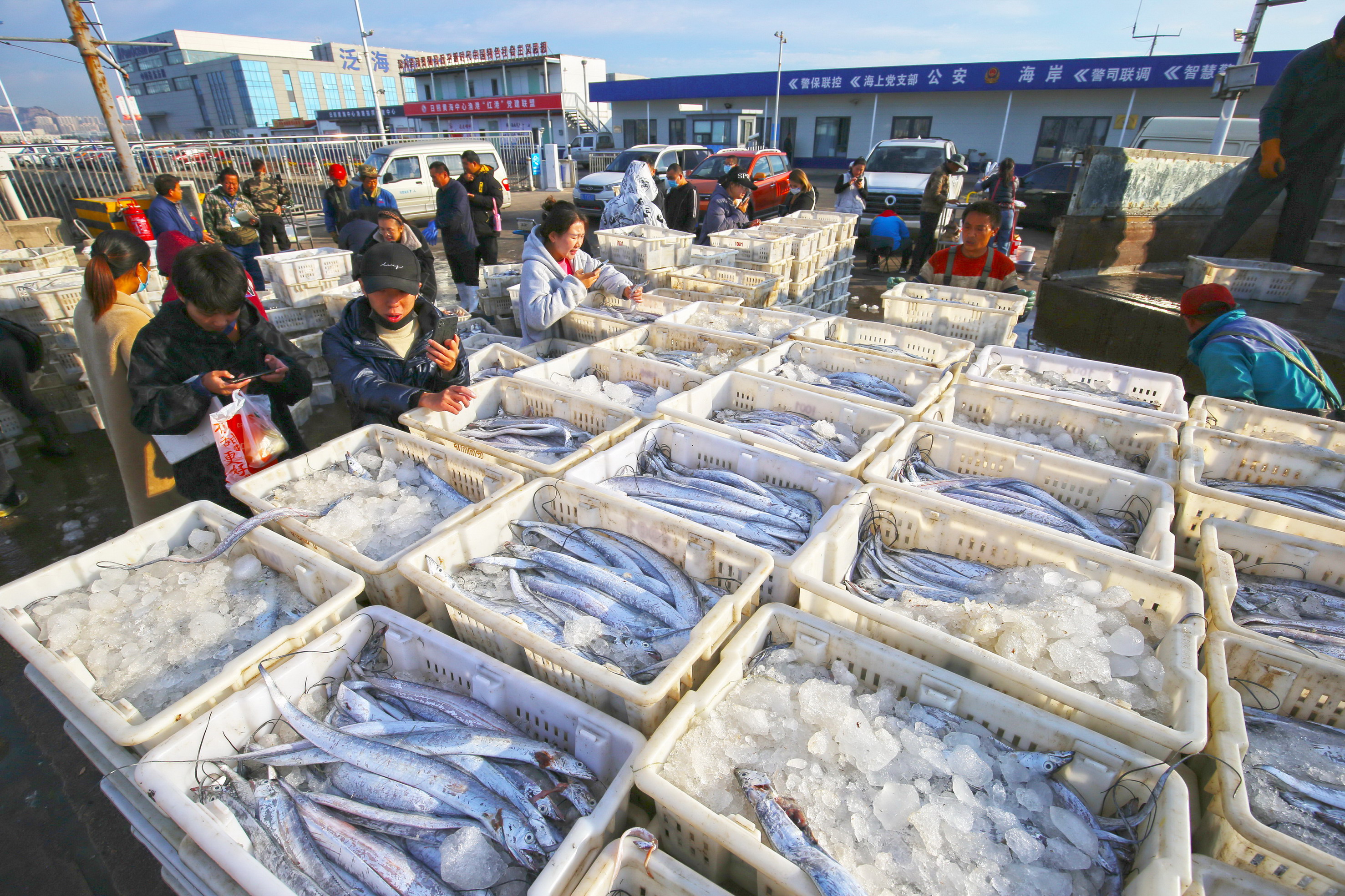 10月20日，漁民在日照黃海中心漁港挑揀、分裝海鮮 。薄林攝