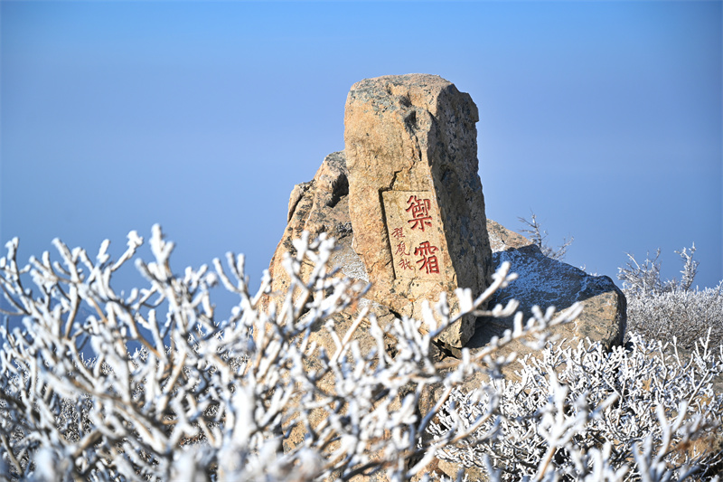 泰山之巔現(xiàn)霧凇奇觀，岱頂開啟仙境模式。劉春蓮攝