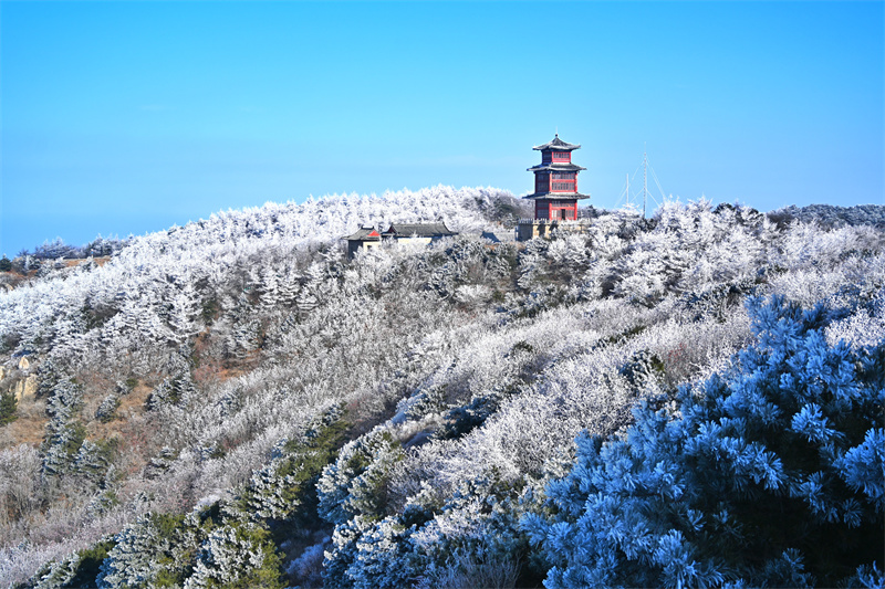 近日，泰山之巔現(xiàn)霧凇奇觀，岱頂開啟仙境模式。劉春蓮攝