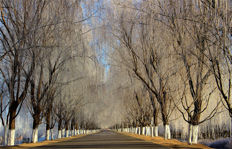 玉符河冰霜凍花，每一幕皆是美景。崔玉榮攝