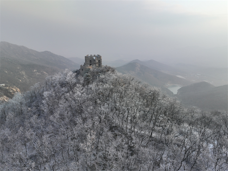 2月10日，山東日照五蓮大青山風(fēng)景區(qū)現(xiàn)霧凇景觀，樹枝頭上都開滿了晶瑩剔透的冰花，清秀雅致 。張弘攝