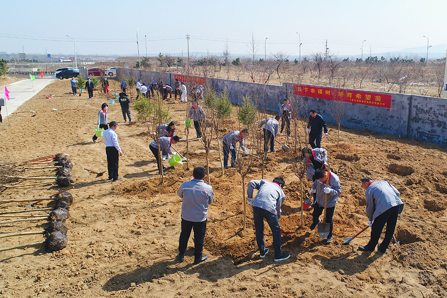 圖為日照市群眾參加公益植樹活動。王勇攝