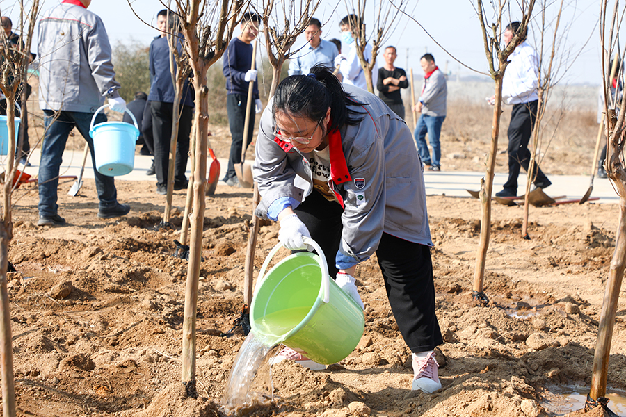 圖為日照市群眾參加公益植樹活動。王勇攝