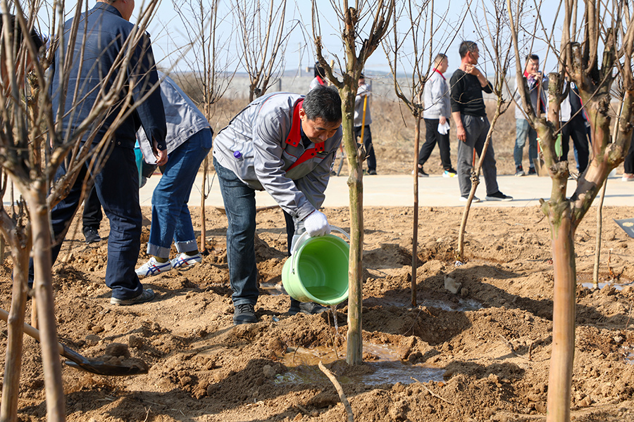 圖為日照市群眾參加公益植樹活動。王勇攝