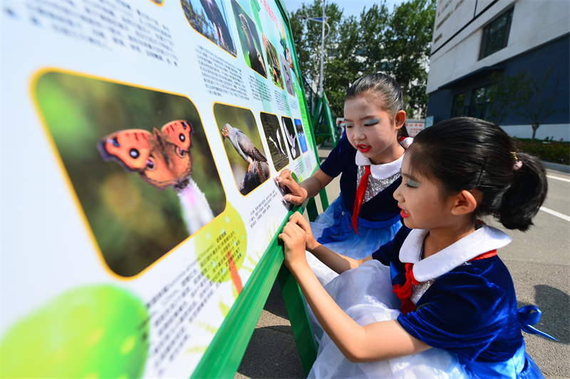 兩名學(xué)生在觀看生物多樣性日科普主題展。王海濱攝