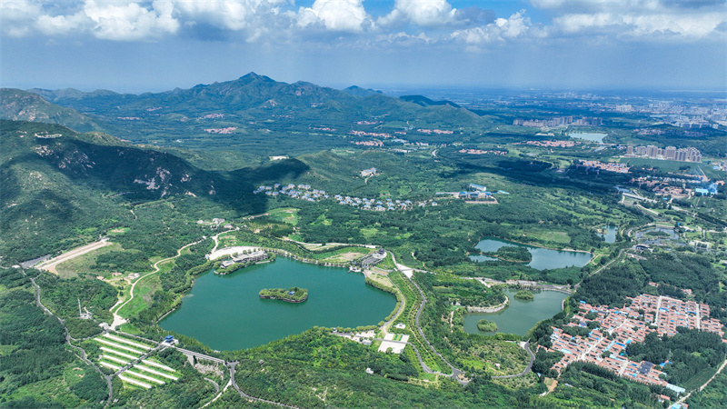 7月28日，山東省鄒平市西董街道櫻花山湖光山色碧連天景觀。