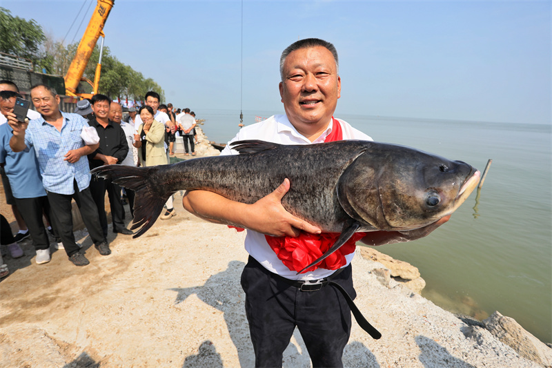 千船競發(fā)，東平湖開漁迎豐收。