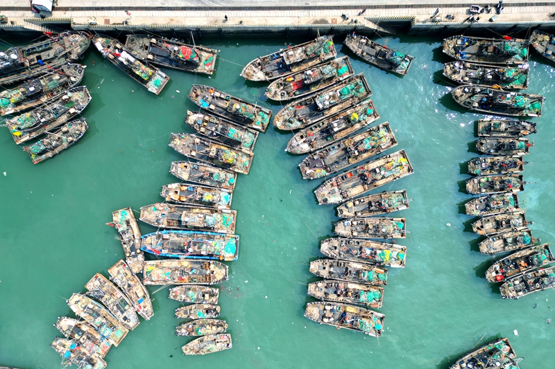 在日照黃海中心漁港內(nèi)，漁船靜待開海。王敬之攝