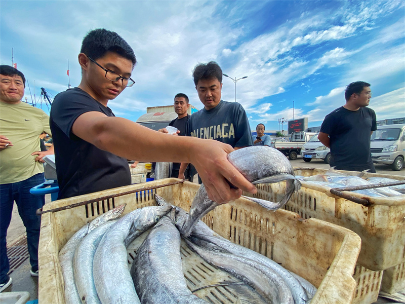 在日照黃海中心漁港，市民正在選購(gòu)海鮮。薄林?jǐn)z