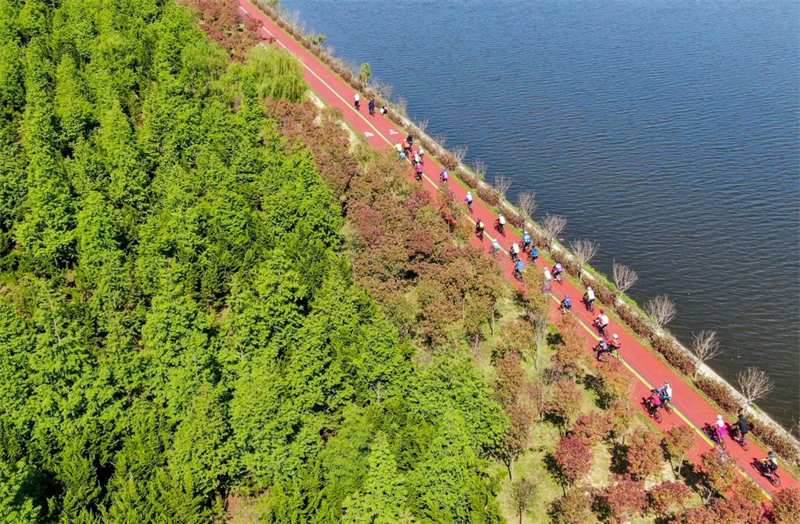 陽光海岸綠道上，騎行愛好者全副武裝出門“追風(fēng)”。李大偉攝