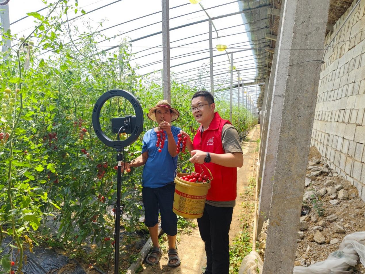 圖為泰安煙草志愿者協(xié)助農(nóng)村零售客戶開展線上助農(nóng)直播