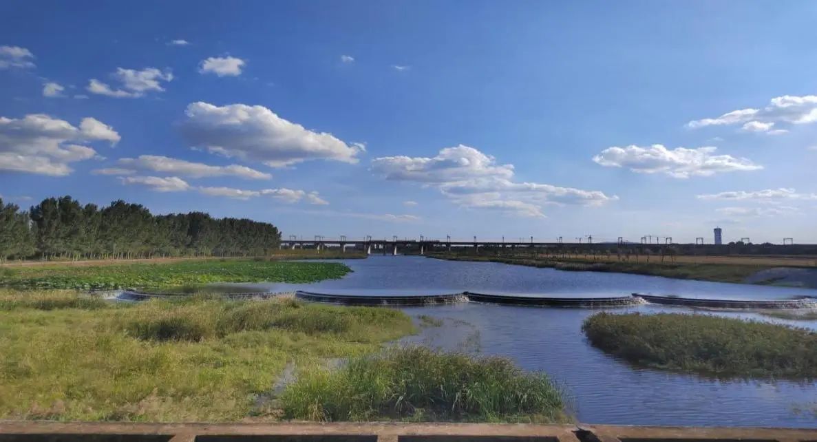 海子河（濕地公園段）美景。