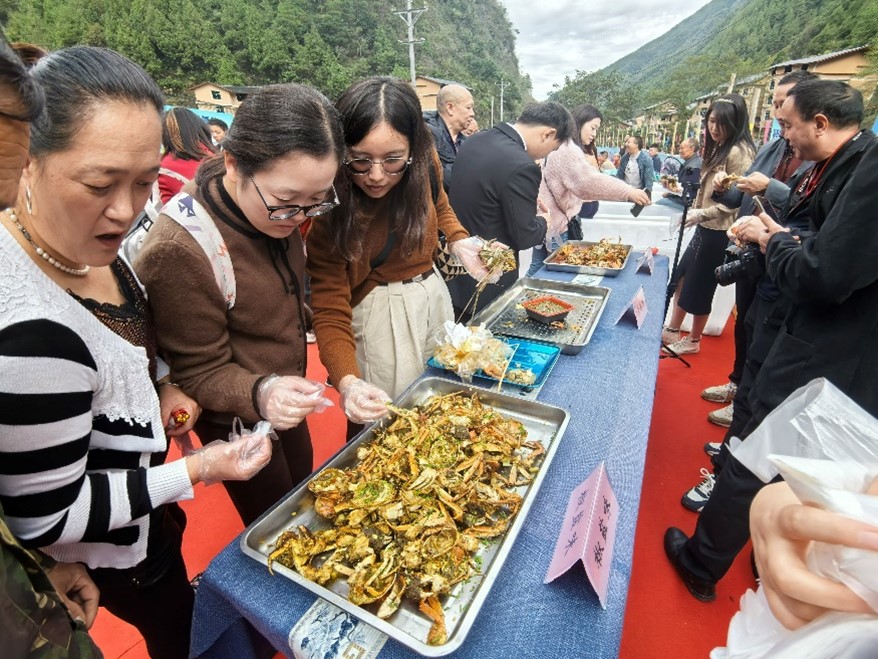 10月23日，桃花源高山大閘蟹品蟹節(jié)。耿琳攝