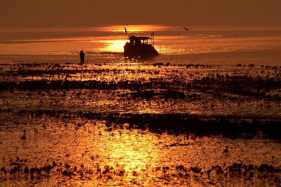 夕陽下，黃河三角洲國家級自然保護(hù)區(qū)內(nèi)的濕地景色。（□新華社記者 范長國 報道）