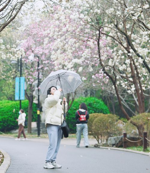 “泉”在濟南過五一｜公園景區(qū)繁花似錦 文化活動精彩呈現(xiàn) 濟南邀您樂享“花朝”